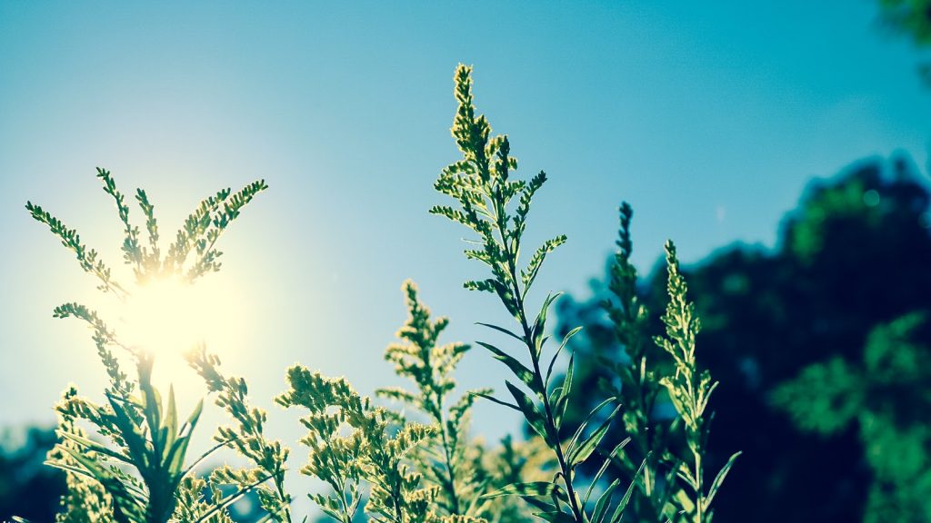 eczema and sun