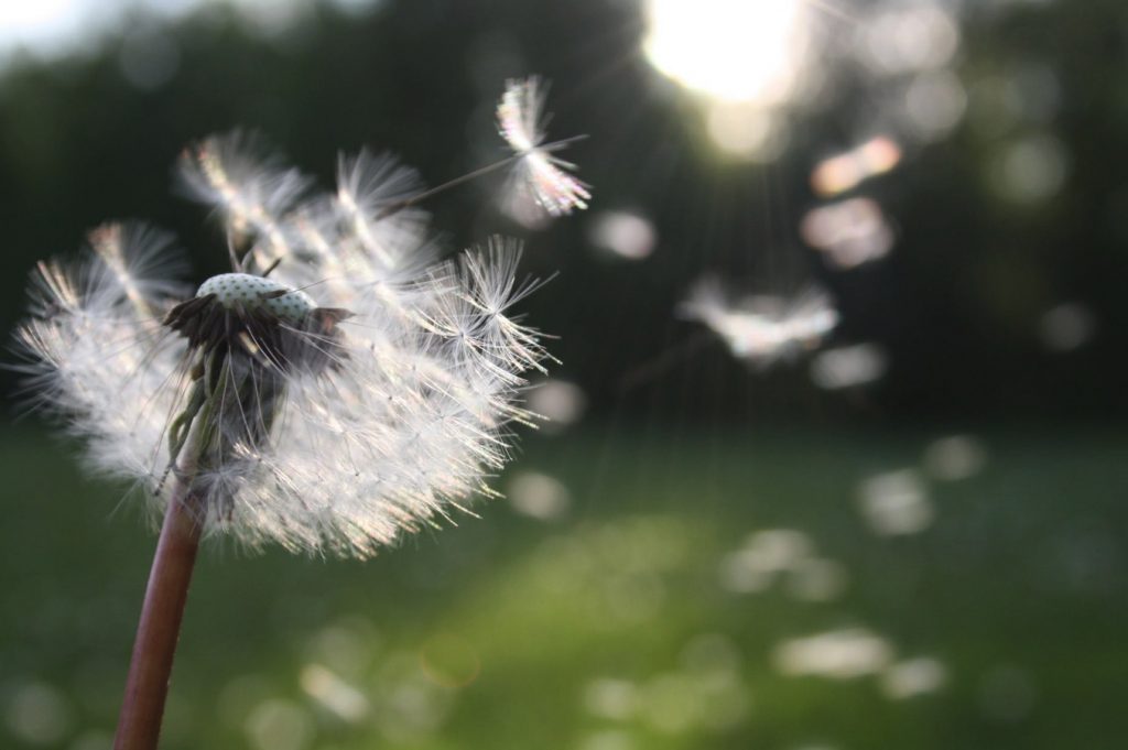 Improving allergy symptoms
