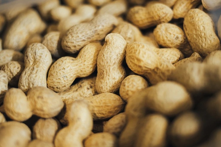 questions about food allergies